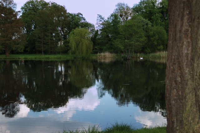 DSC_6703_0007.jpg