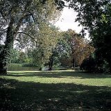 picture-0009