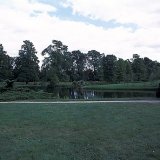 picture-0011