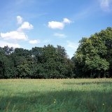 picture-0018