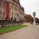 picture-0005