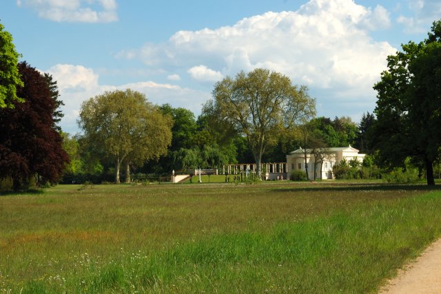 DSC_6776_0038.jpg
