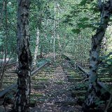 2002 - Die Natur ist auf dem richtigen Weg
