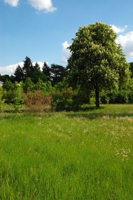 DSC_6778_0040.jpg
