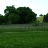 DSC_6782_0043.jpg
