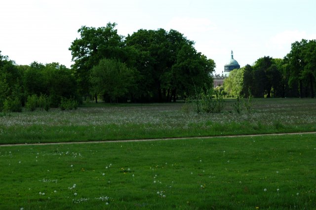 DSC_6782_0043.jpg