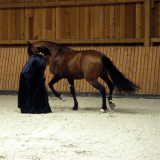 F0042D09.png