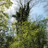 Botanischer Garten