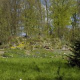 _DSC6287.jpg