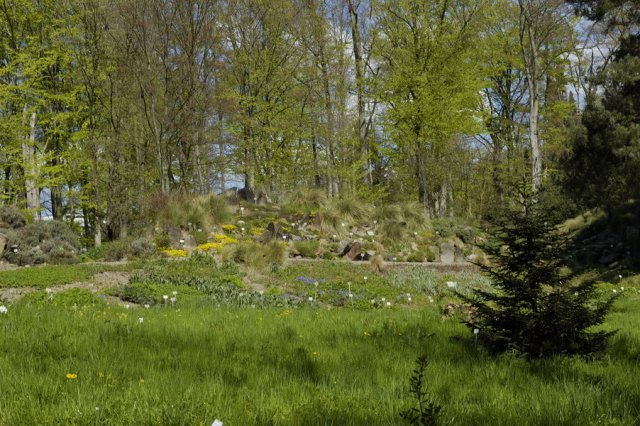 _DSC6287.jpg