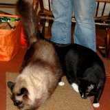 DSC_5823.jpg