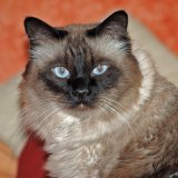 DSC_5861.jpg