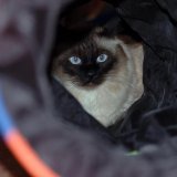 DSC_5867.jpg