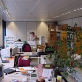 picture-0009